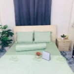 Drap Tencel Anita Basic - Xanh Bơ