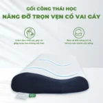 Gối Công Thái Học Anita Icool