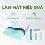 Gối Công Thái Học Anita Icool