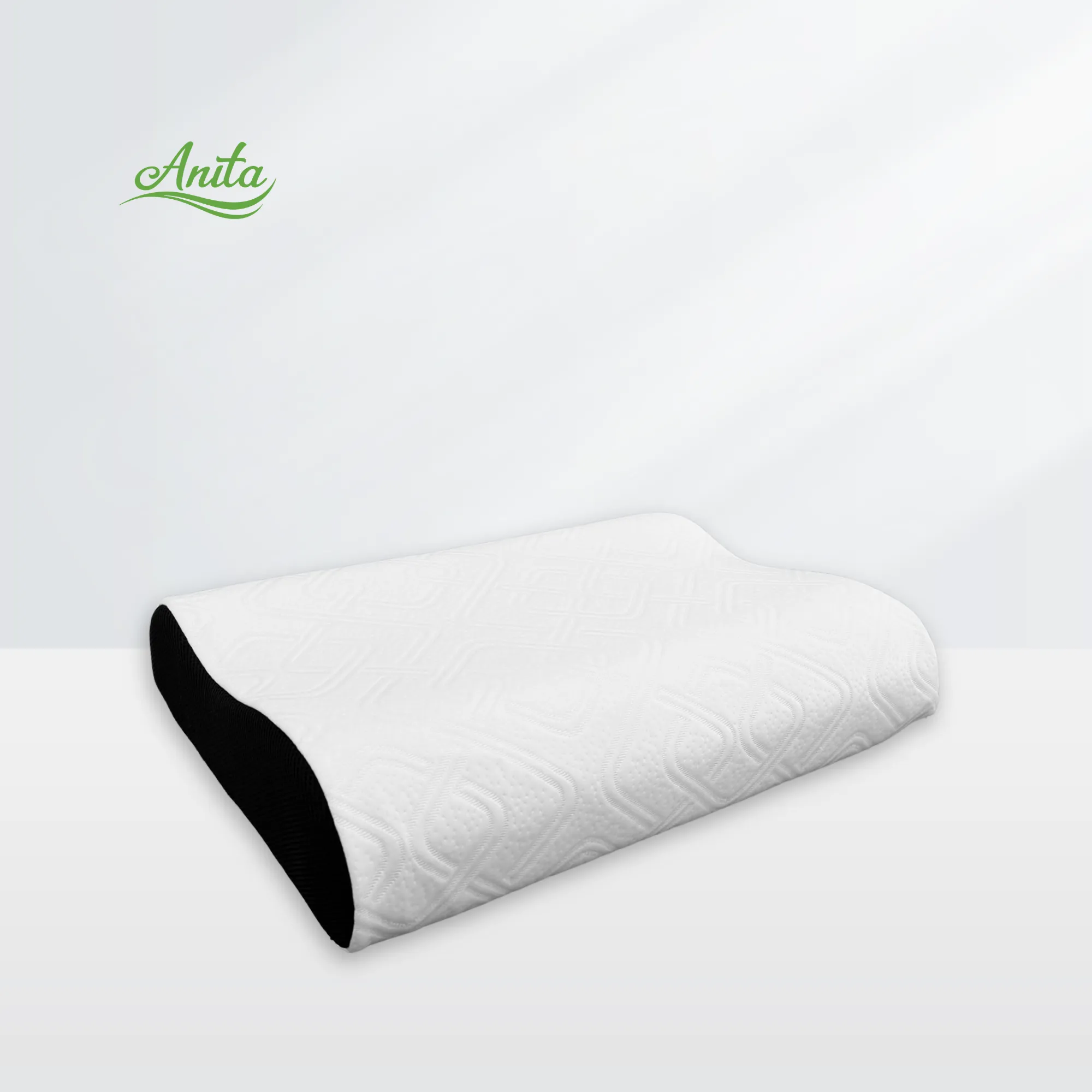 Gối Công Thái Học Anita Icool
